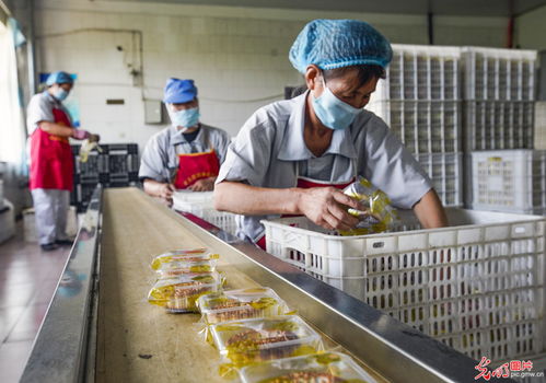 趕制傳統月餅迎佳節